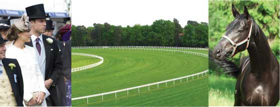 Epsom Downs – a great day out near Merrywood Park