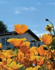 Residential-mobile-home-for-sale-Merrywood-Park-Surrey-1 Merrywood park, Box Hill, Surrey, owned by Greenford Park Homes