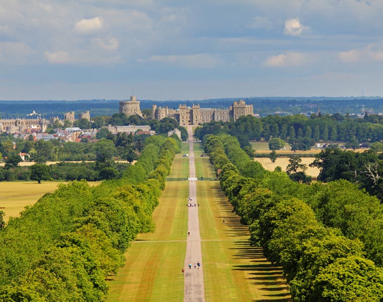 Long Walk Windsor Great Park