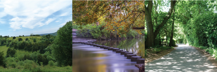 Box Hill, The Stepping Stones, Ashurst Drive