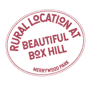 Box Hill beauty spot is in the heart of National Trust parkland.